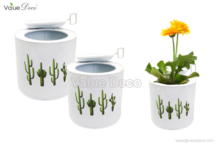 ZCV00824 (Zinc Can With Cactus Design)